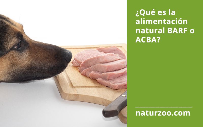 Lee más sobre el artículo ¿Qué es la alimentación o dieta natural BARF?