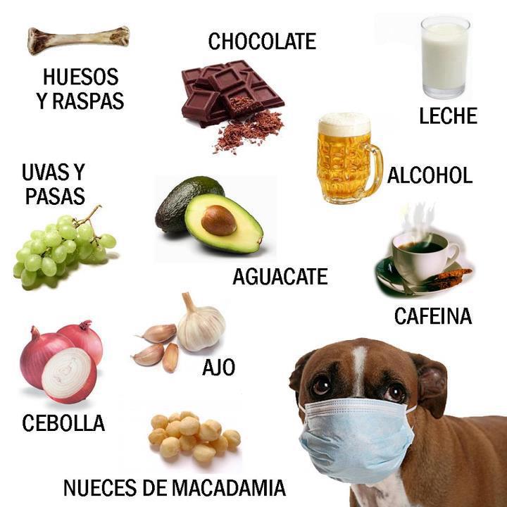 alimentos prohibidos