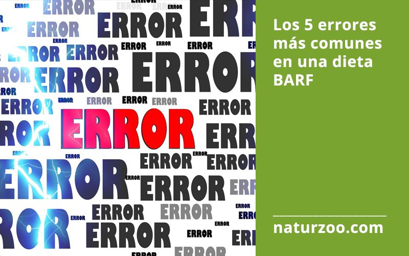 Lee más sobre el artículo Los 5 errores más comunes en una dieta BARF