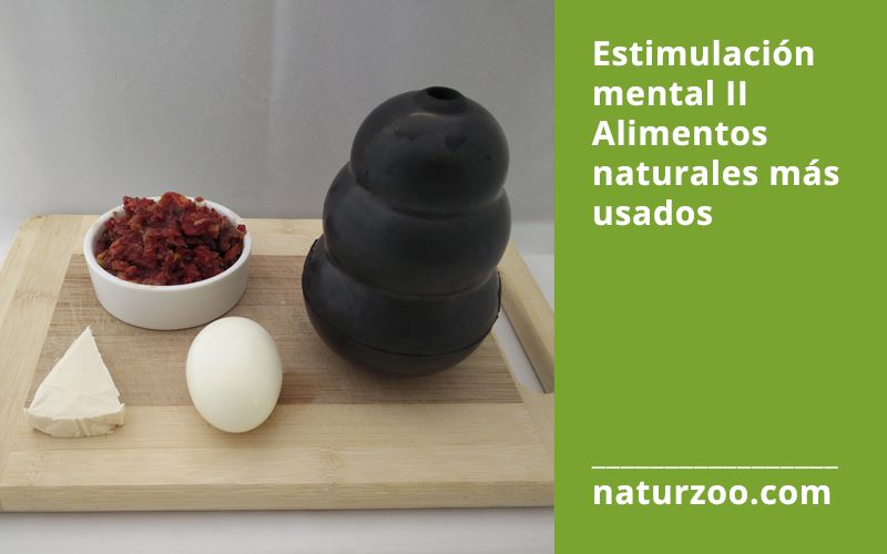 Lee más sobre el artículo Estimulación mental II – Alimentos naturales recomendados