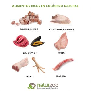 COLAGENO