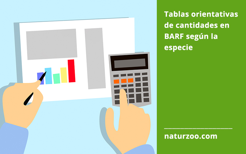 Lee más sobre el artículo Tablas orientativas de cantidades en BARF según la especie