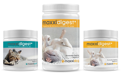maxxidigest for pets