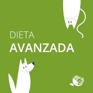 Dieta personalizada avanzada