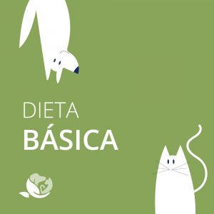 Dieta personalizada básica
